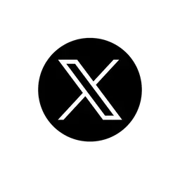 X (Twitter)